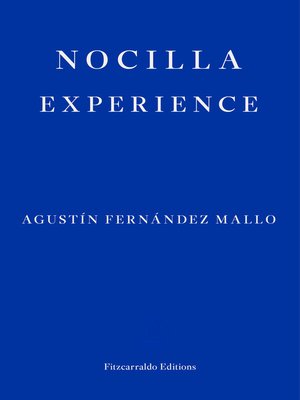cover image of Nocilla Experience